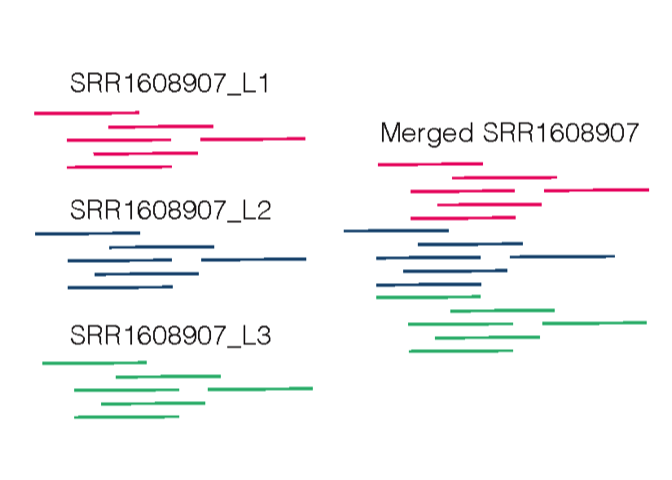 Adding read group before merging across lanes.